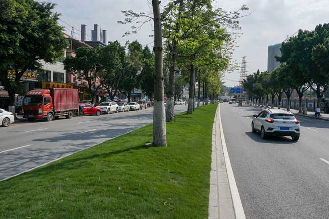 市政道路綠化養(yǎng)護